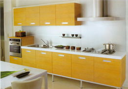 就要這種范兒 萬元豪華廚房電器必看