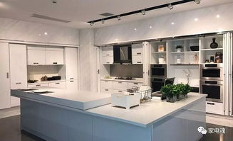 觀點 四大特點注定廚房電器在家電中最具活力