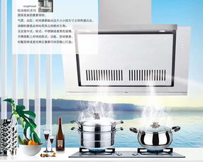 皮阿諾愛奇屋中式側吸油煙機 廚房電器的精致之選