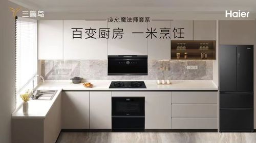 海爾廚房電器 國民信賴的世界500強品質之選